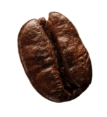 demo-attachment-42-coffee-beans-P4MXYZD5@2x